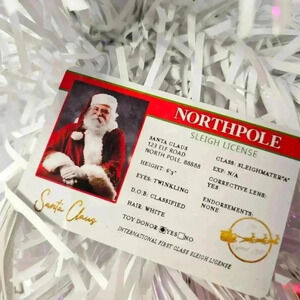 Santa Sleigh License